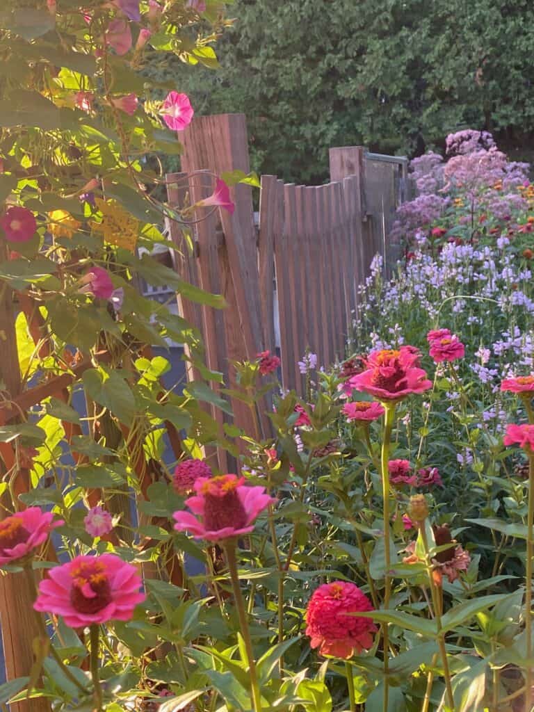 Affiliations & Friends Belfast Garden Club