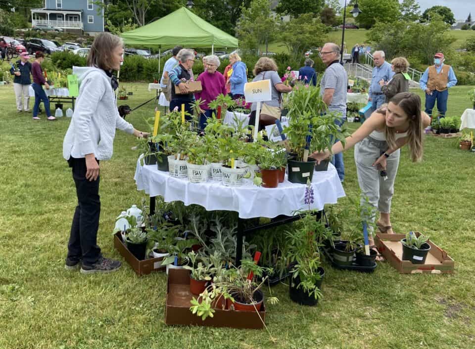 Annual Plant Sale, May 27 at the Belfast Boathouse